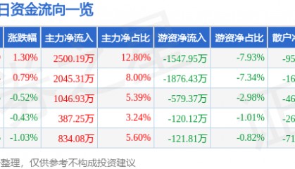 股票行情快报:黑猫股份(002068)3月25日主力资金净买入2500.19万元