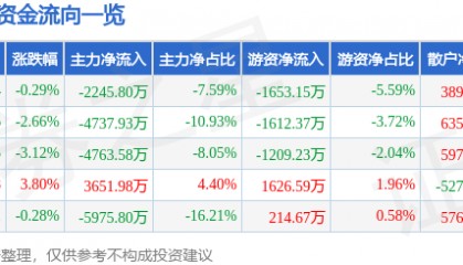 股票行情快报:黑芝麻(000716)3月4日主力资金净卖出2245.80万元