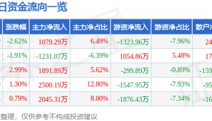 股票行情快报:黑猫股份(002068)3月28日主力资金净买入1079.29万元