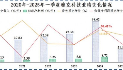 雅克科技,可惜了!