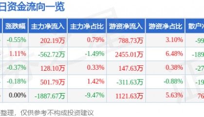 股票行情快报:远兴能源(000683)2月20日主力资金净买入202.19万元