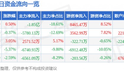 股票行情快报:焦点科技(002315)2月21日主力资金净卖出1.85亿元