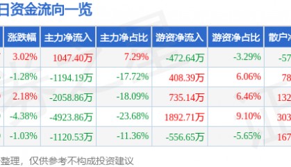 股票行情快报:岳阳林纸(600963)3月6日主力资金净买入1047.40万元