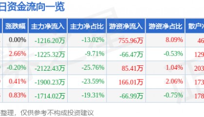 股票行情快报:岳阳林纸(600963)2月10日主力资金净卖出1216.20万元