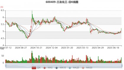 三友化工:2025年上半年净利同比预降78%