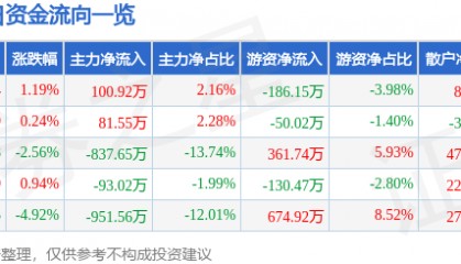 股票行情快报:渝开发(000514)12月27日主力资金净买入100.92万元