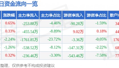股票行情快报:国创高新(002377)8月4日主力资金净卖出253.88万元