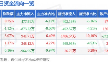 股票行情快报:六国化工(600470)1月9日主力资金净卖出477.31万元