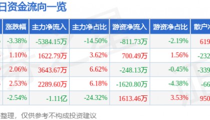 股票行情快报:焦点科技(002315)1月10日主力资金净卖出5384.15万元