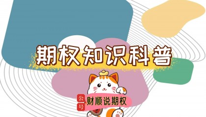 【知识科普】股票期权的开户条件详解,2025年开户指南