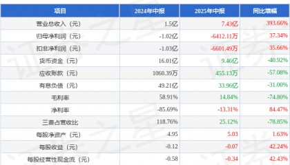 西藏城投(600773)2025年中报简析:营收上升亏损收窄
