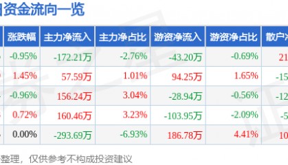 股票行情快报:渝开发(000514)2月25日主力资金净卖出172.21万元