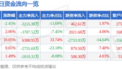 股票行情快报:中材节能(603126)2月13日主力资金净卖出3215.38万元