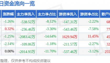 股票行情快报:国创高新(002377)7月30日主力资金净卖出538.52万元