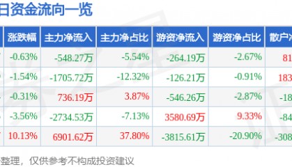 股票行情快报:国创高新(002377)8月13日主力资金净卖出548.27万元