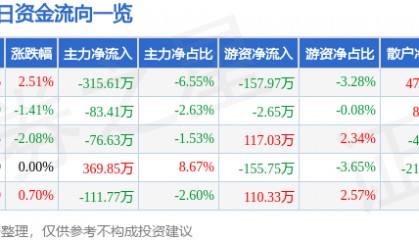 股票行情快报:国创高新(002377)6月23日主力资金净卖出315.61万元