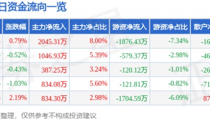 股票行情快报:黑猫股份(002068)3月24日主力资金净买入2045.31万元