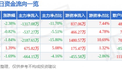 股票行情快报:鸥玛软件(301185)8月14日主力资金净卖出1317.08万元