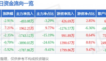 股票行情快报:华联控股(000036)9月2日主力资金净卖出493.08万元