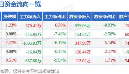 股票行情快报:飞乐音响(600651)5月8日主力资金净买入370.41万元