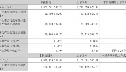 瑞泰科技:2025年上半年净利润2259.96万元