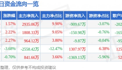股票行情快报:黑猫股份(002068)5月20日主力资金净买入2935.06万元