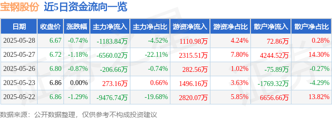 股票行情快报：宝钢股份（600019）5月28日主力资金净卖出1183.84万元