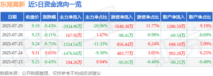 股票行情快报：东湖高新（600133）7月29日主力资金净卖出2934.96万元