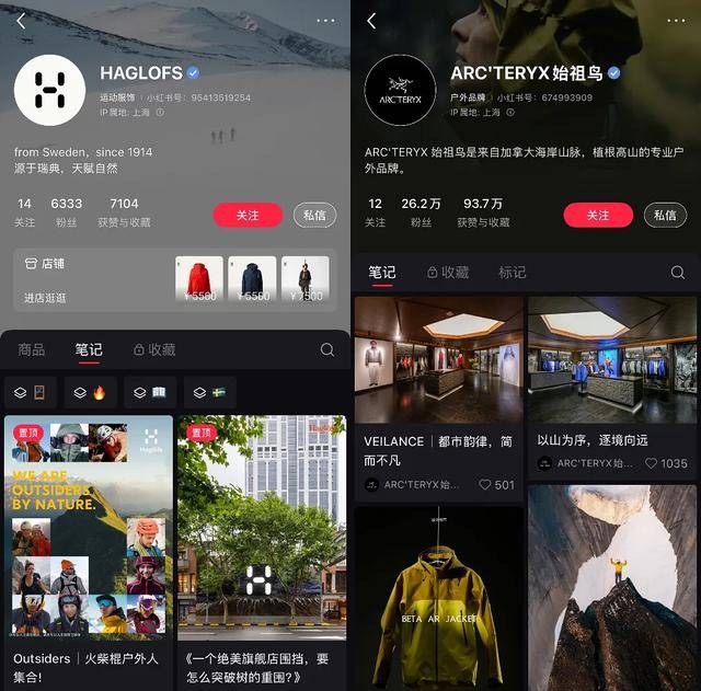 李宁做梦都想要有个始祖鸟？