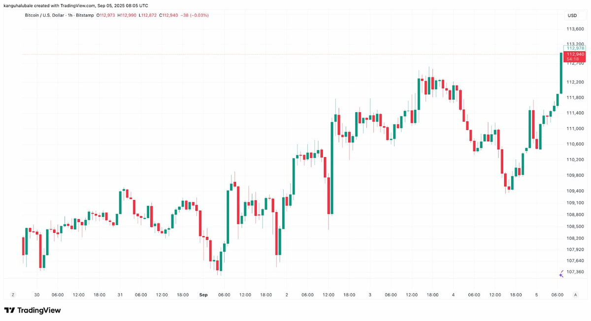 比乐币(比乐币是啥意思)