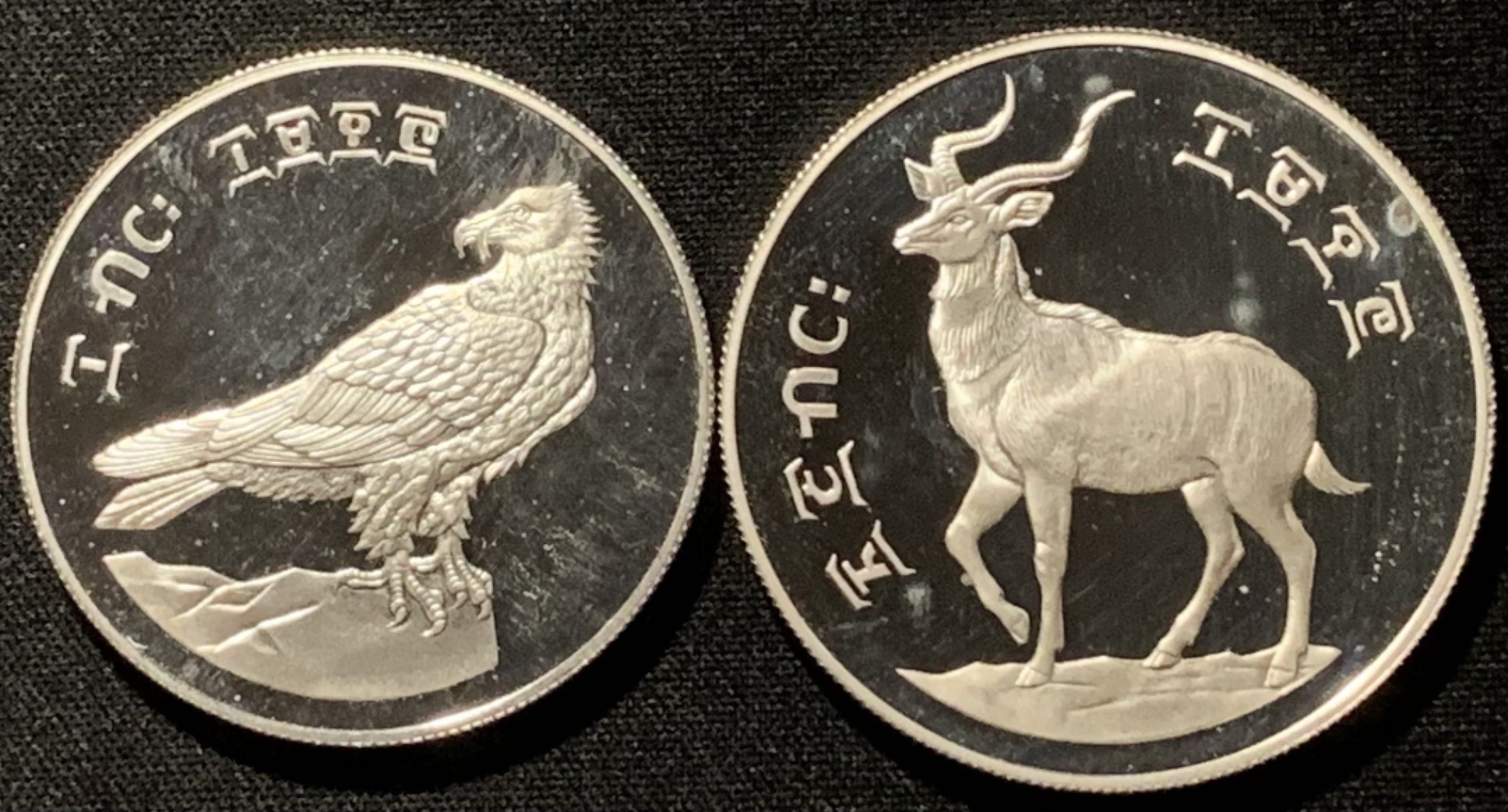 比币(比币特) 比币(比币特)