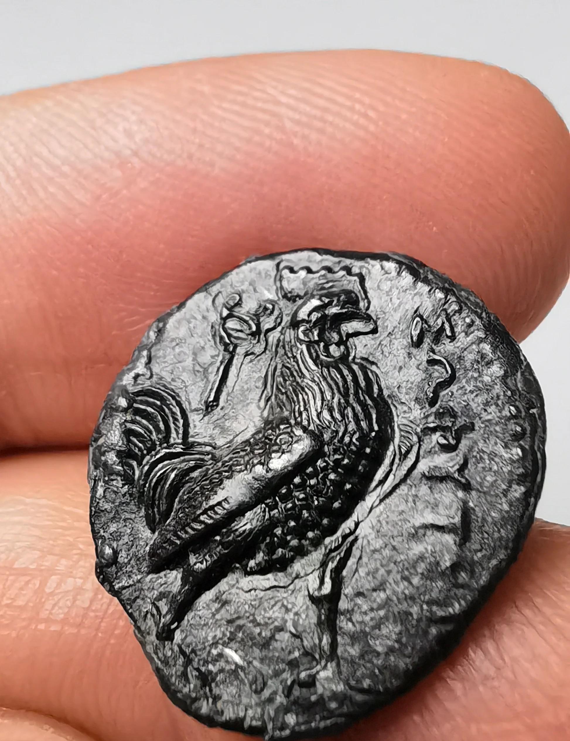 瑞特币(瑞特币2024年最新消息新闻) 瑞特币(瑞特币2024年最新消息新闻)