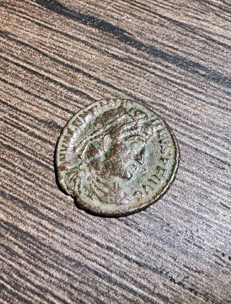 狼币(狼刺角的功效与作用) 狼币(狼刺角的功效与作用)