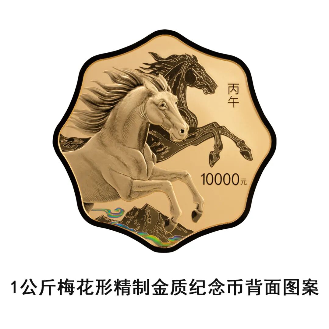 币龄(岁币是什么意思)