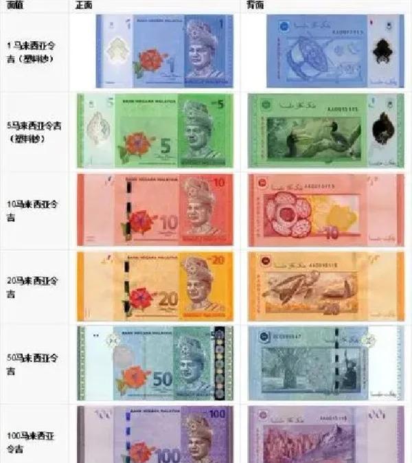 全币(全币种国际信用卡是什么意思)