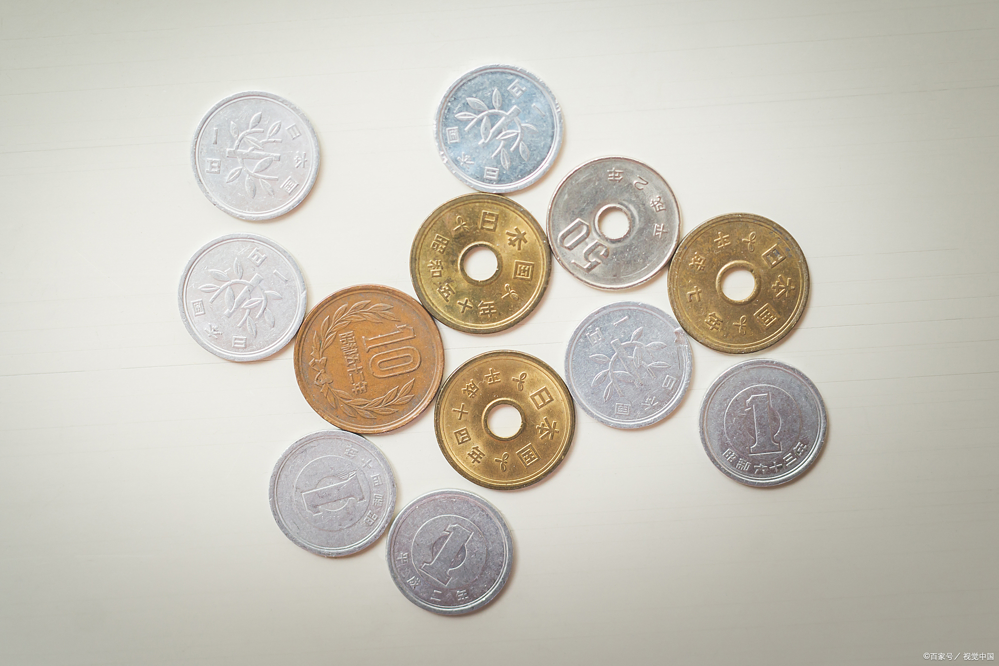 猫币(猫血的价值和用途)