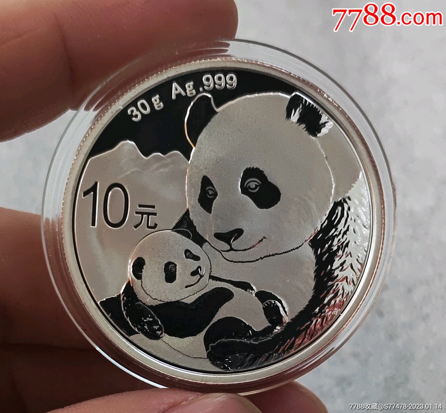 猫币(猫雨欣图片)