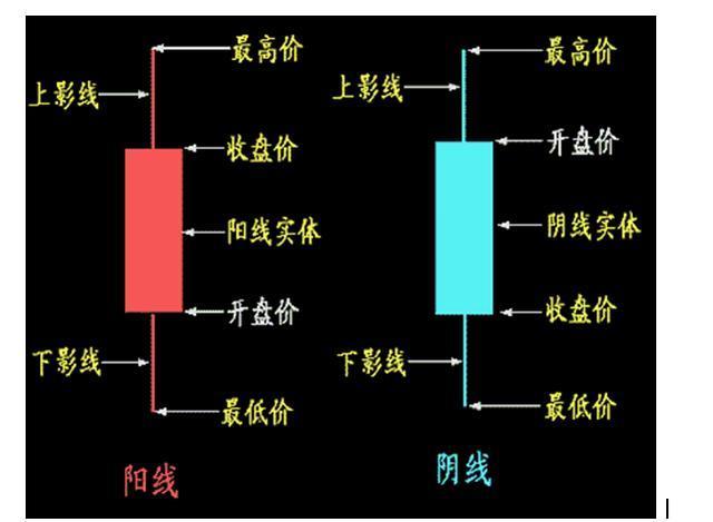 767股票学习网(767股票基础知识入门)